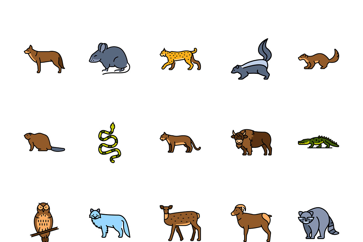 North american animals color line ic, an Outline Icon by Backwoods_studio