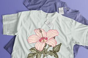 Set Seamless Flowers Rose Hibiscus