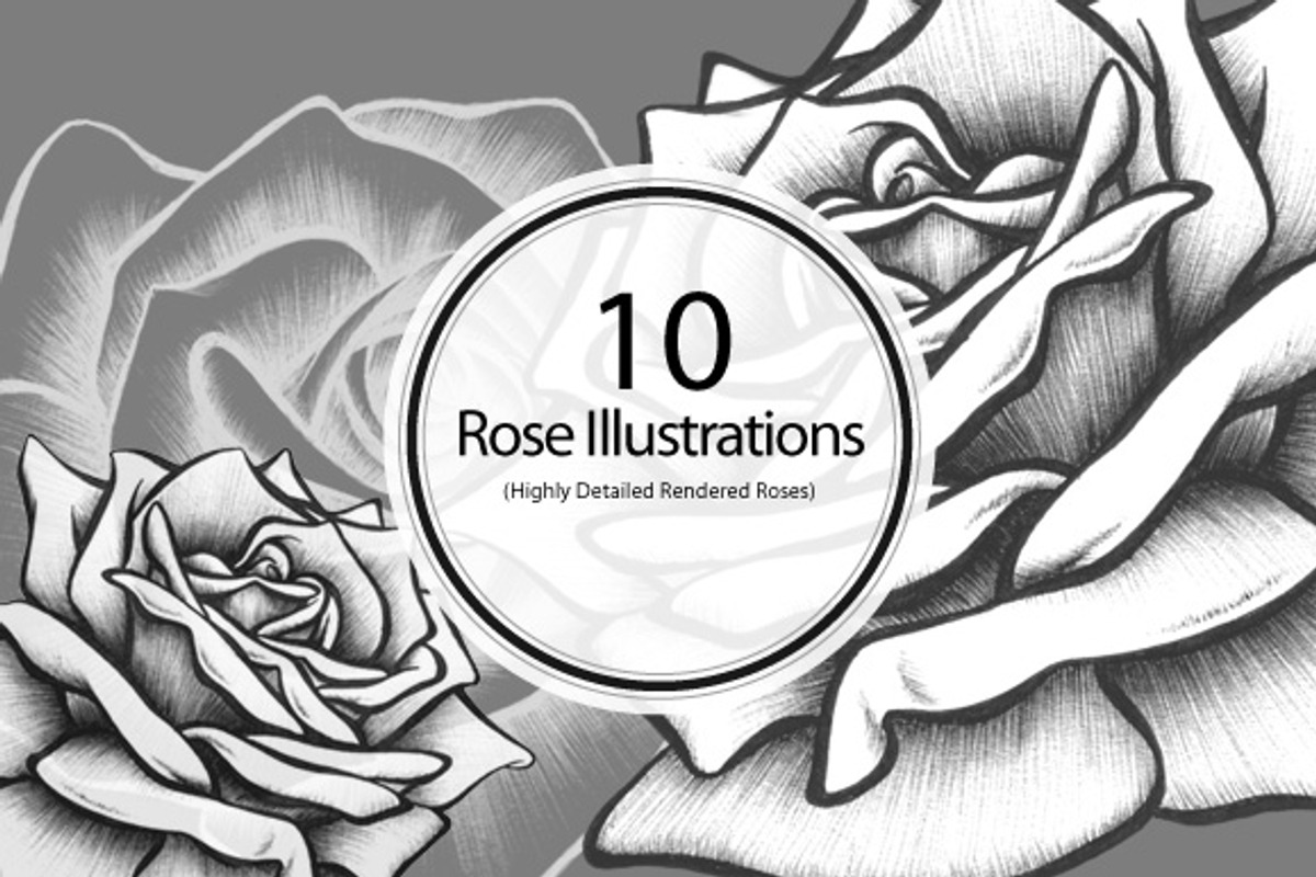 10 Rose Illustrations