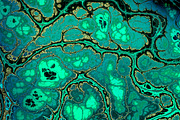 Malachite textures High Res, a Texture Graphic by tkdesign (Thumbnail 2 of 21)
