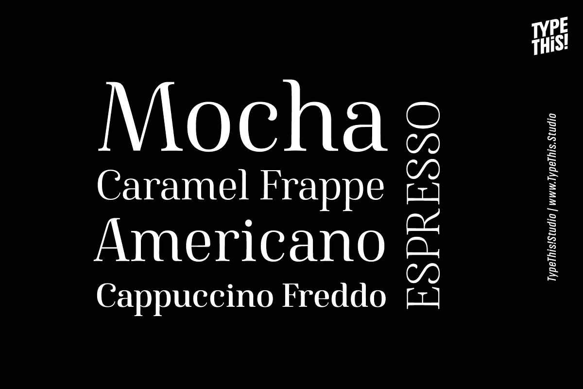 Famosa Core Edition, a Serif Font by TypeThis!Studio (Photo 4 of 11)