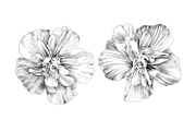 Floral Collection, an Object Graphic by VictoriaKStudio (Thumbnail 4 of 7)