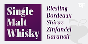 BF Rotwang Pro, a Serif Font by BrassFonts (Thumbnail 6 of 15)