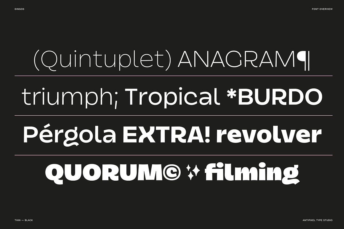 Dingos | Compact Chunky Display Sans, a Sans Serif Font by Antipixel Type Studio (Photo 4 of 16)