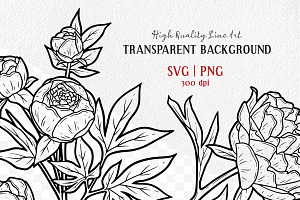 Peony Spring Flower Vector Line Art