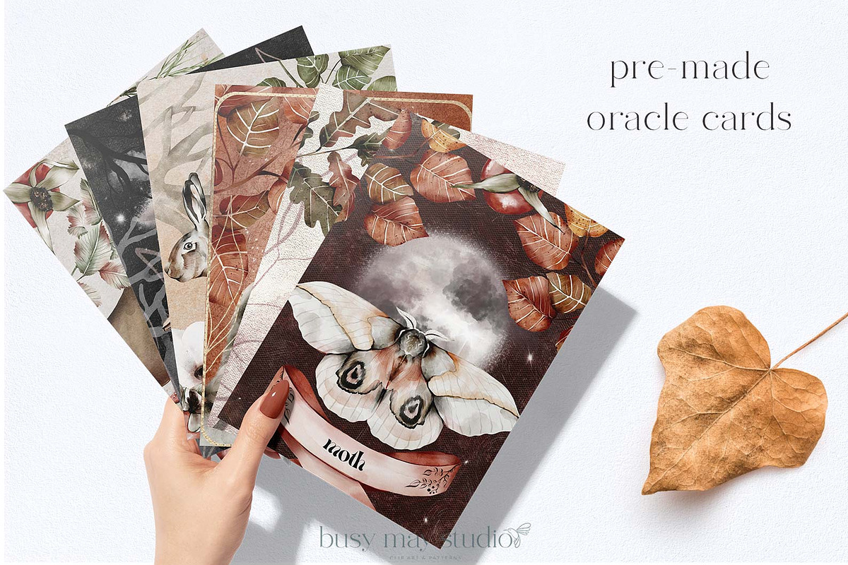 Forest Illustrations Mystic Autumn, an Animal Illustration by Busy May Studio (Photo 6 of 20)