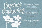 Whimsy Pops – Curly Handwriting Font, a Handwritten Font by Blankids Studio (Thumbnail 5 of 11)