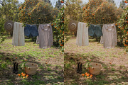 15 Vibrant Fall Lightroom Presets, a Preset Add-On by TheWayfarerShoppe (Thumbnail 2 of 9)