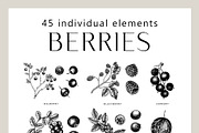 BUNDLE - Fruit & Berries Collection, a Food Illustration by Yevheniia (Thumbnail 3 of 9)