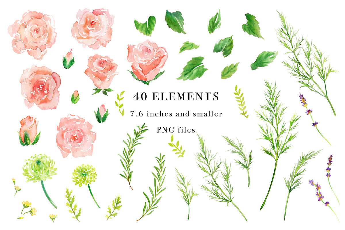 Soft Florals Watercolor Design Set, an Illustration by Art by Lin (Photo 2 of 7)