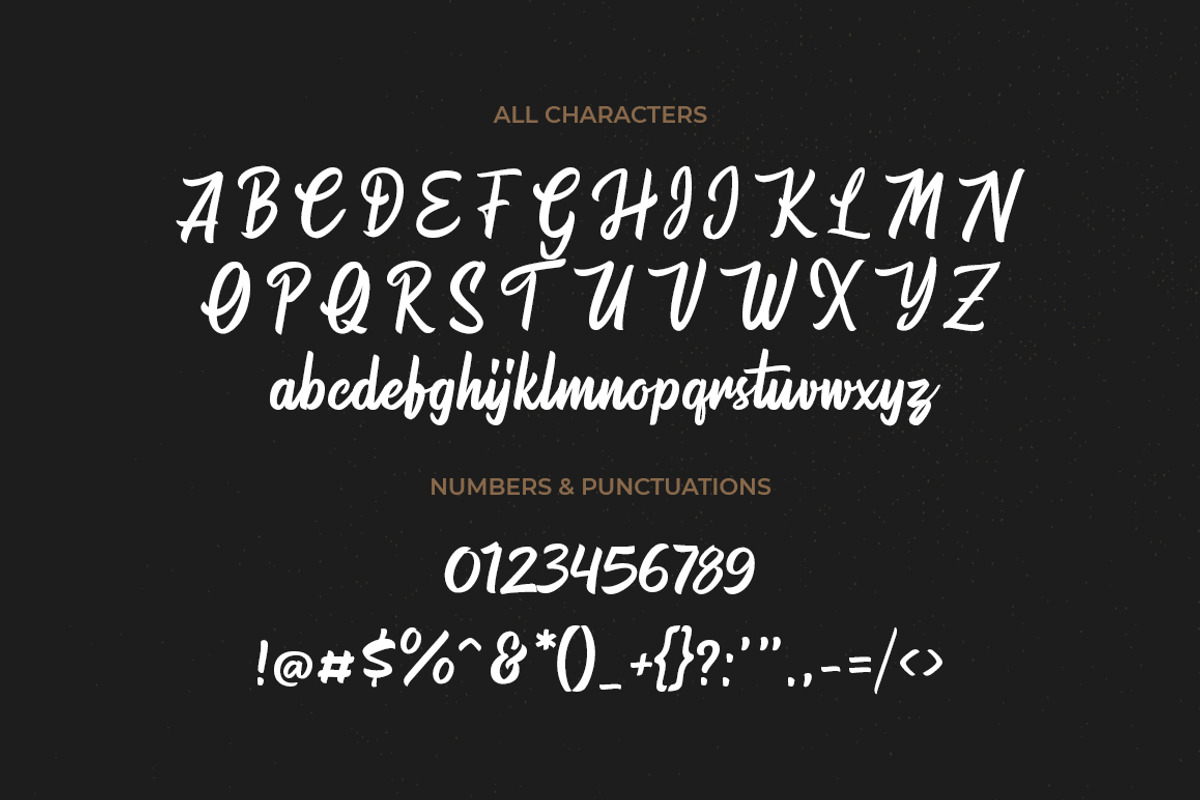 Warrington, a Script Font by Pollux of Geminorum (Photo 8 of 12)