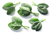 Spinach from above, an Object Graphic by Hortimages (Thumbnail 1 of 2)
