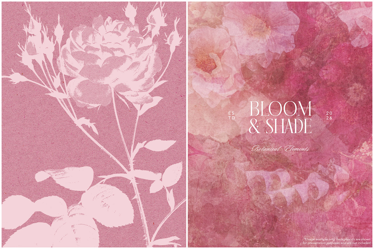 Bloom & Shade Botanical PNG Elements, an Object Graphic by alonahaidash (Photo 9 of 13)