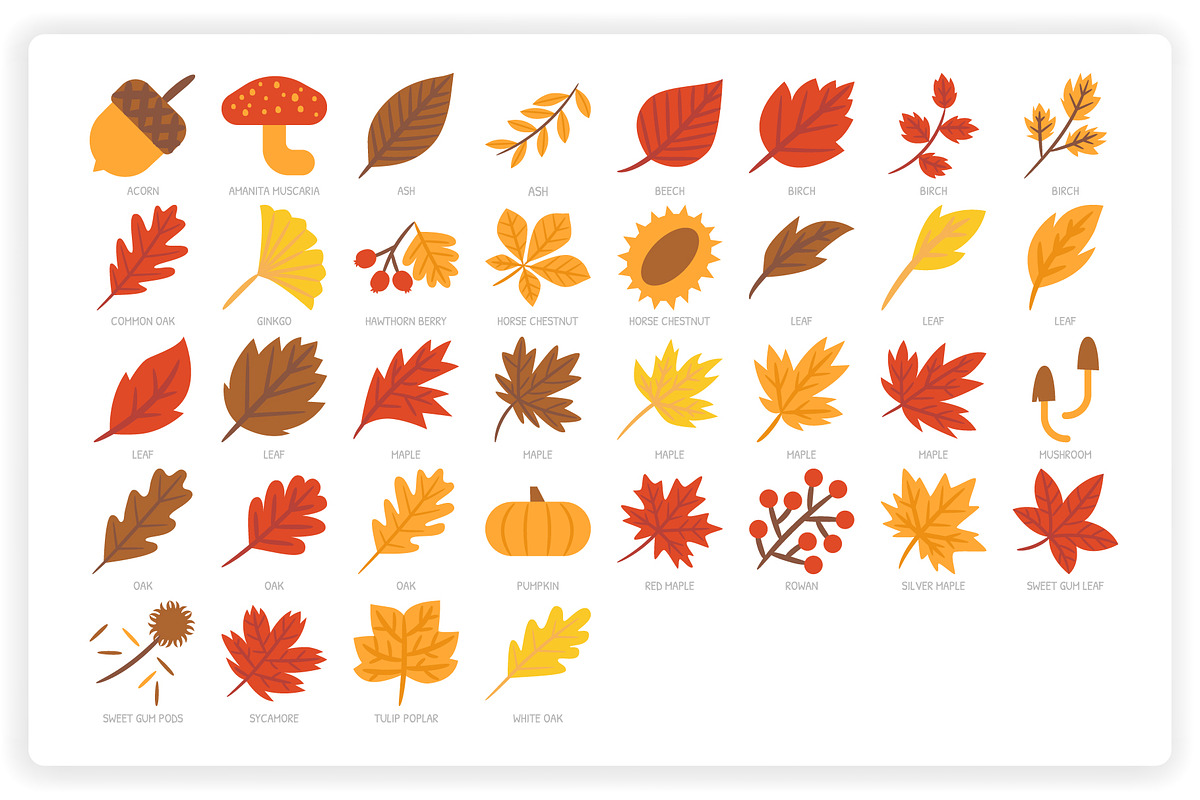 36 Autumn Elements + 12 Patterns, a Graphic by monkik (Photo 8 of 12)