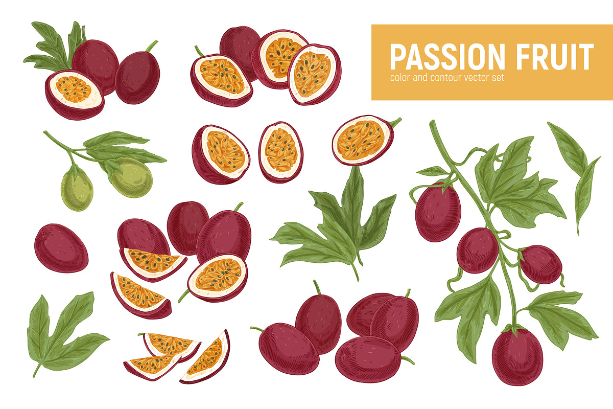 Exotic passion fruit, hand-drawn set, a Food Illustration by Good Studio (Photo 1 of 3)