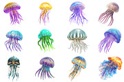 Watercolor Jellyfish Clipart Bundle, an Illustration by Pixels.Craft (Thumbnail 4 of 6)