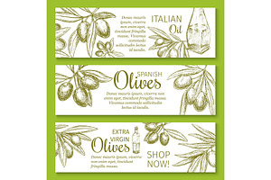 Olive Oil Sketch Banner Of Green Branch And Fruit