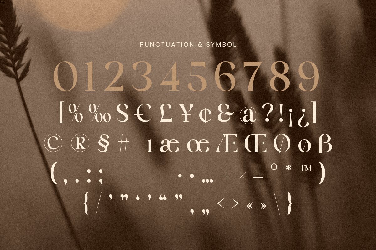 Emira - Unique Luxury Logo Font, a Serif Font by Sensatype (Photo 11 of 12)