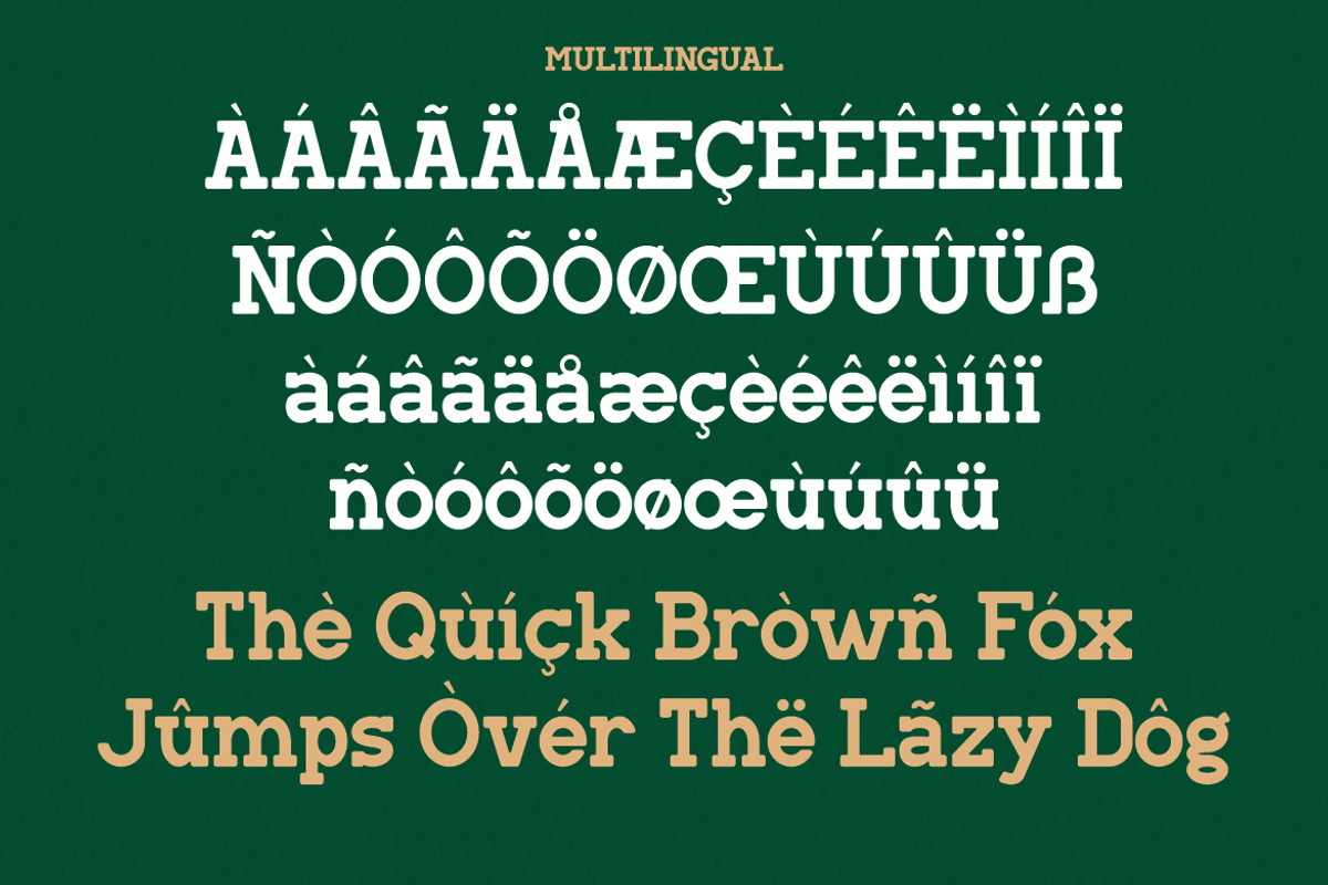 Manline Slabs - A Classic Slab Font, a Slab Serif Font by Marvadesign (Photo 4 of 7)