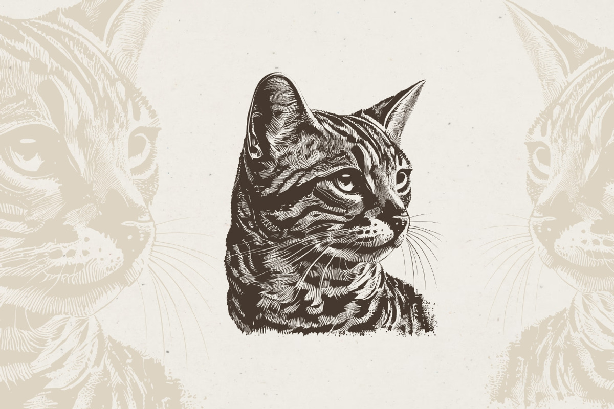 Cat Breeds Portrait Illustrations, an Animal Illustration by Nocturnal Wolf (Photo 2 of 10)