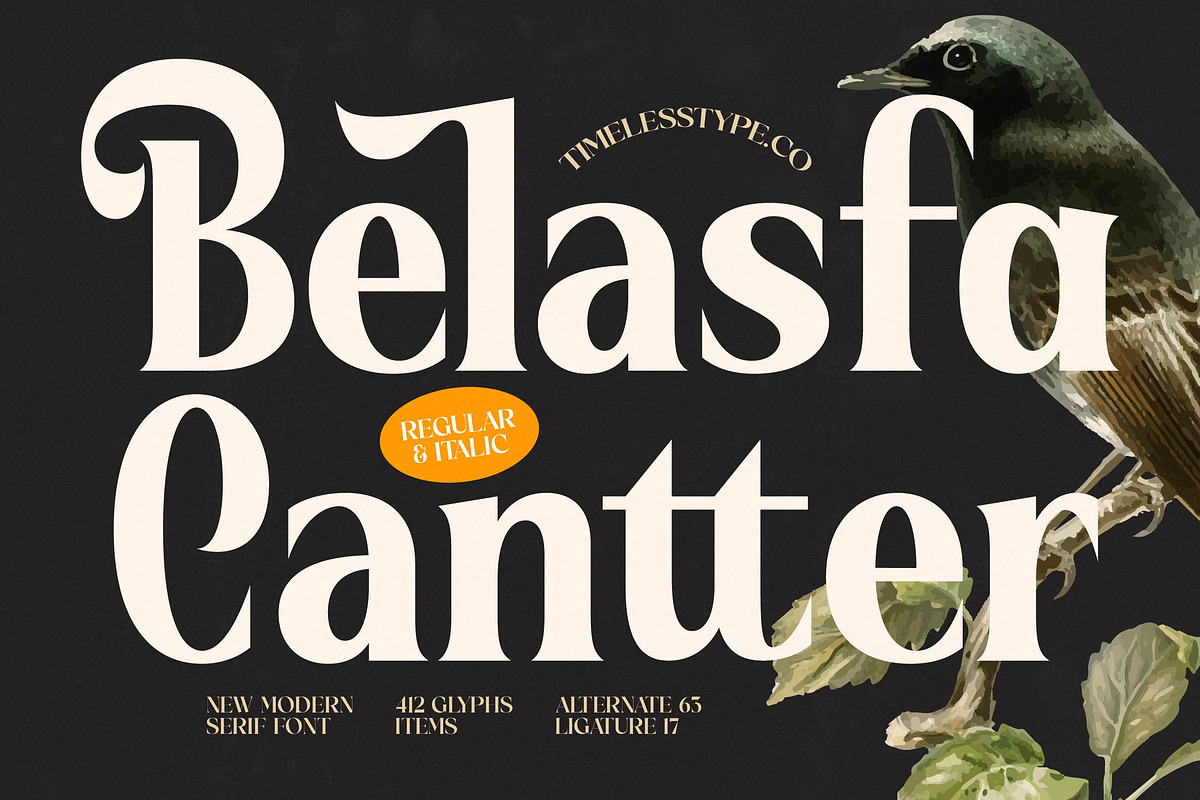 Belasfa Cantter Modern Serif Font, a Serif Font by timelesstype.co (Photo 1 of 20)