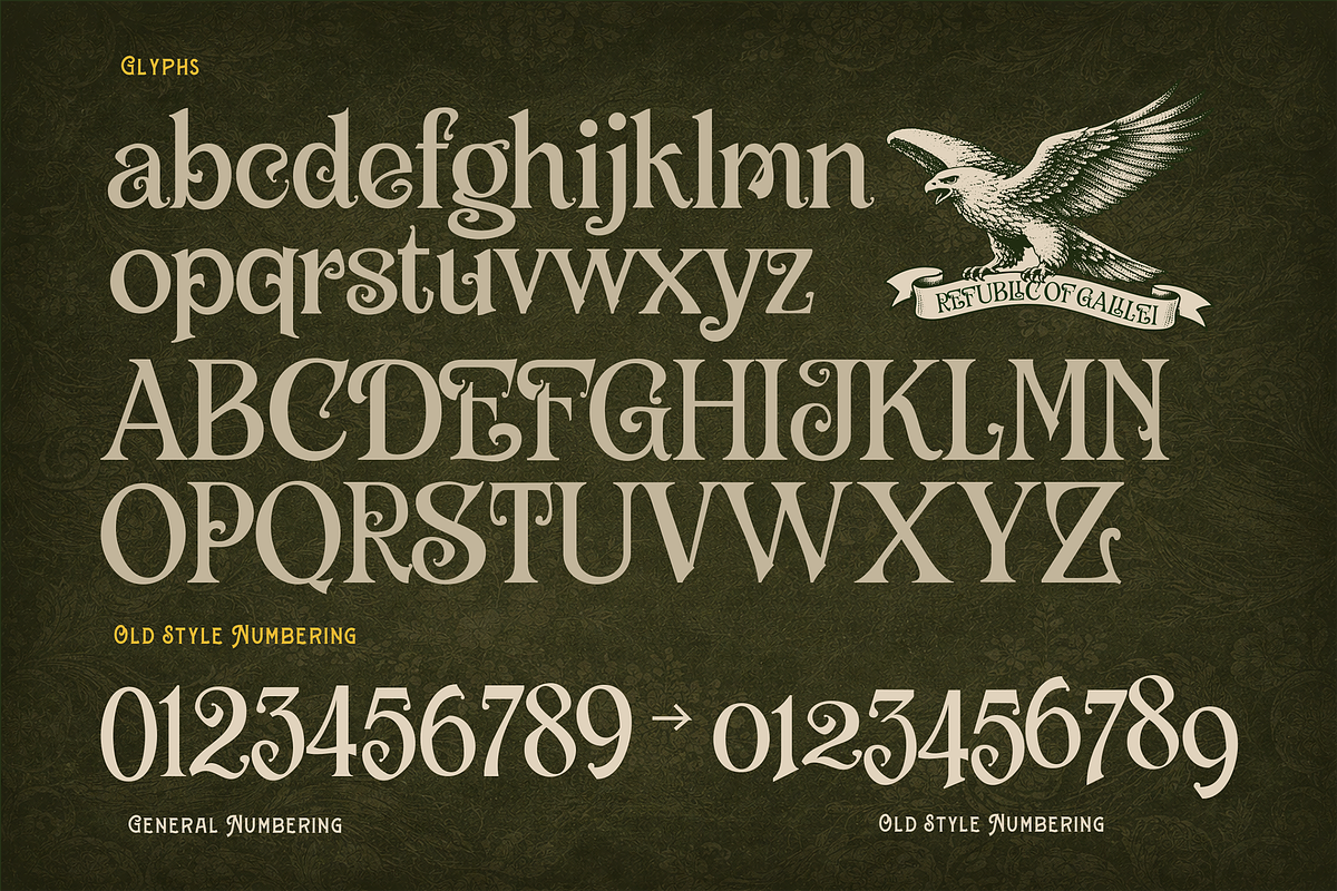 Libston - Luxurious Vintage & Extras, a Serif Font by Fortunes Co (Photo 11 of 14)