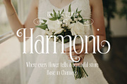 Deronia Beauty Branding Serif Font, a Serif Font by RantautypeStudio (Thumbnail 3 of 17)