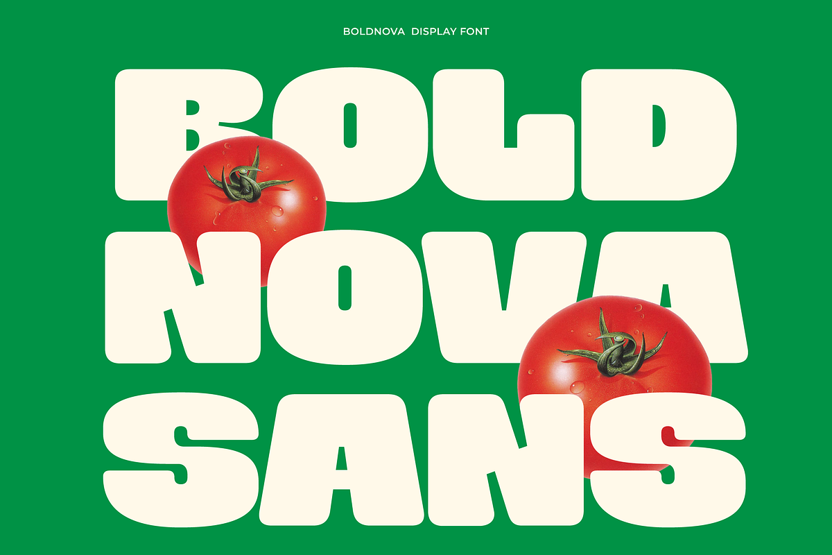 Boldnova - Bold Font, a Sans Serif Font by limitype (Photo 1 of 10)