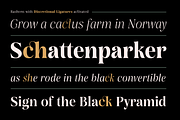 Rasbern — 18 Fonts, a Serif Font by Nasir Udin (Thumbnail 7 of 17)
