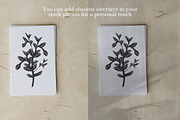 Natural Shadow Overlays & Background, a Texture Graphic by Feather & Sage Design (Thumbnail 6 of 9)