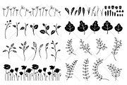 Vector Illustrated Floral Pack, an Illustration by Boelter Design Co (Thumbnail 5 of 6)