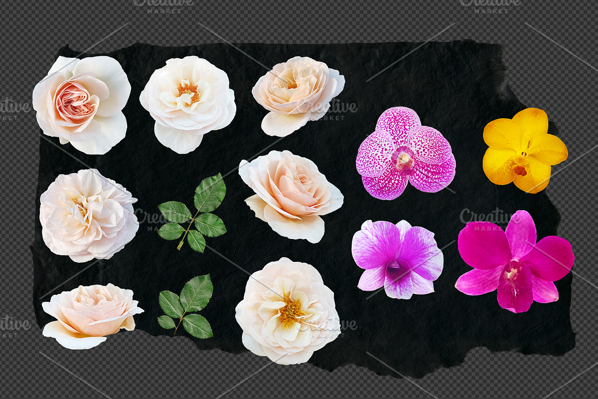 Die-cut Real Flowers Set 2 Bundle, a Nature Photo by aniunova (Photo 4 of 4)