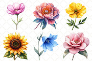 Watercolor Flower Collection Clipart, an Illustration by Black Bird Studio (Thumbnail 4 of 5)
