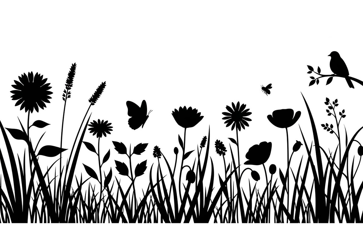 50 Garden Frame Silhouette Bundle, an Illustration by musafir_fashion (Photo 3 of 51)