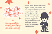 Liceum Script, a Script Font by Posterizer KG (Thumbnail 3 of 7)