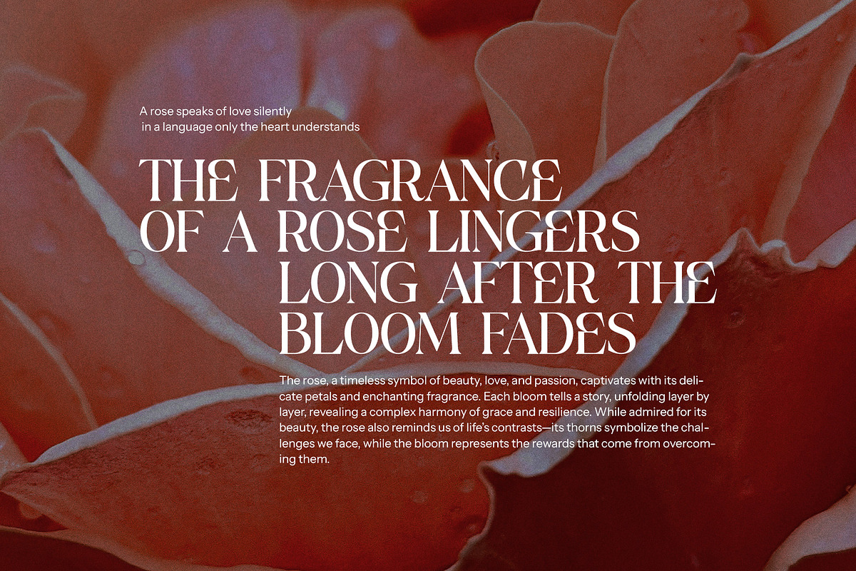 Celgin Elegant Serif Font, a Serif Font by Graphicxell (Photo 6 of 8)