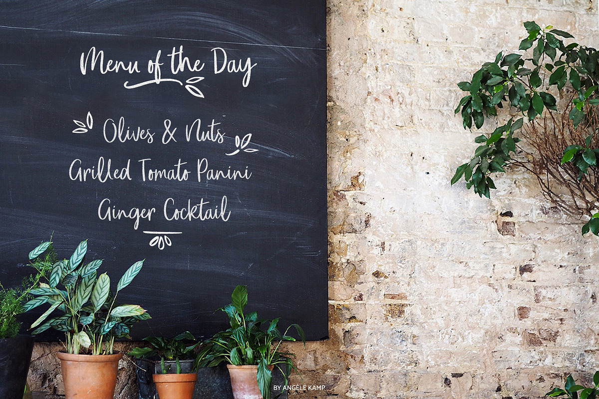 Oh Livey brush script font preview 4