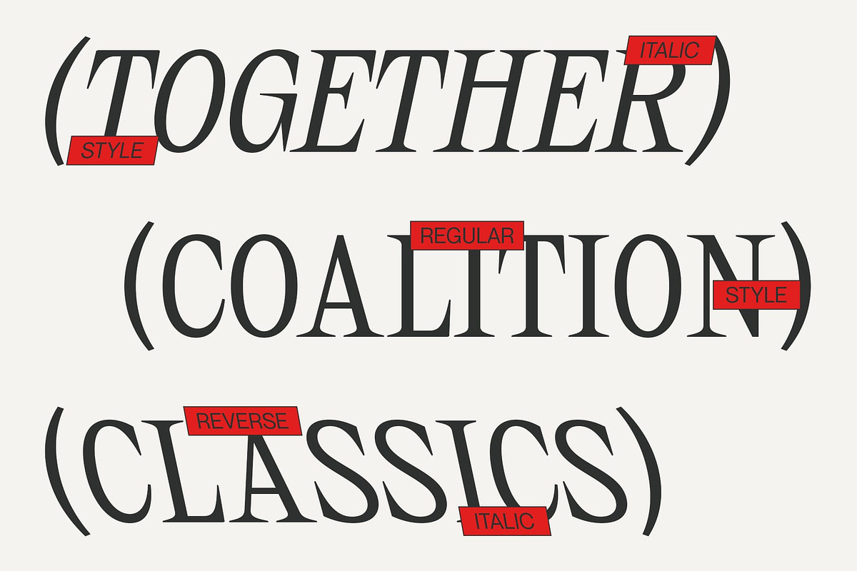 CS Bozhena – Contemporary Font, a Serif Font by Craft Supply Co. (Photo 2 of 8)