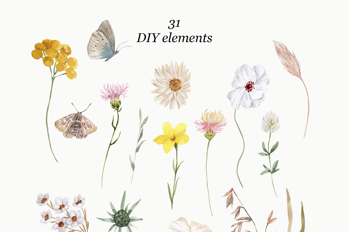 Steppe of Bravery Summer Wildflowers, a Decorative Illustration by Catch the Dream Art (Photo 7 of 11)