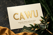 Cawu - Elegant Minimalist Serif, a Serif Font by Astuti Studio (Thumbnail 11 of 25)