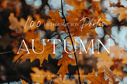 100+ New Hi-Res Autumn Photos, a Background Photo by moonloop (Thumbnail 1 of 13)