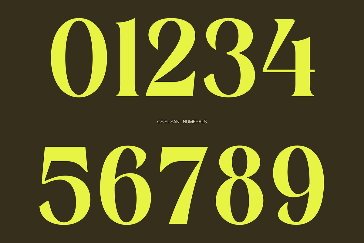 CS Susan – Classic Serif Font, a Serif Font by Craft Supply Co. (Photo 4 of 8)