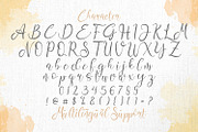 Aisbum Slashey - Modern Script Font, a Script Font by StringLabs (Thumbnail 9 of 10)