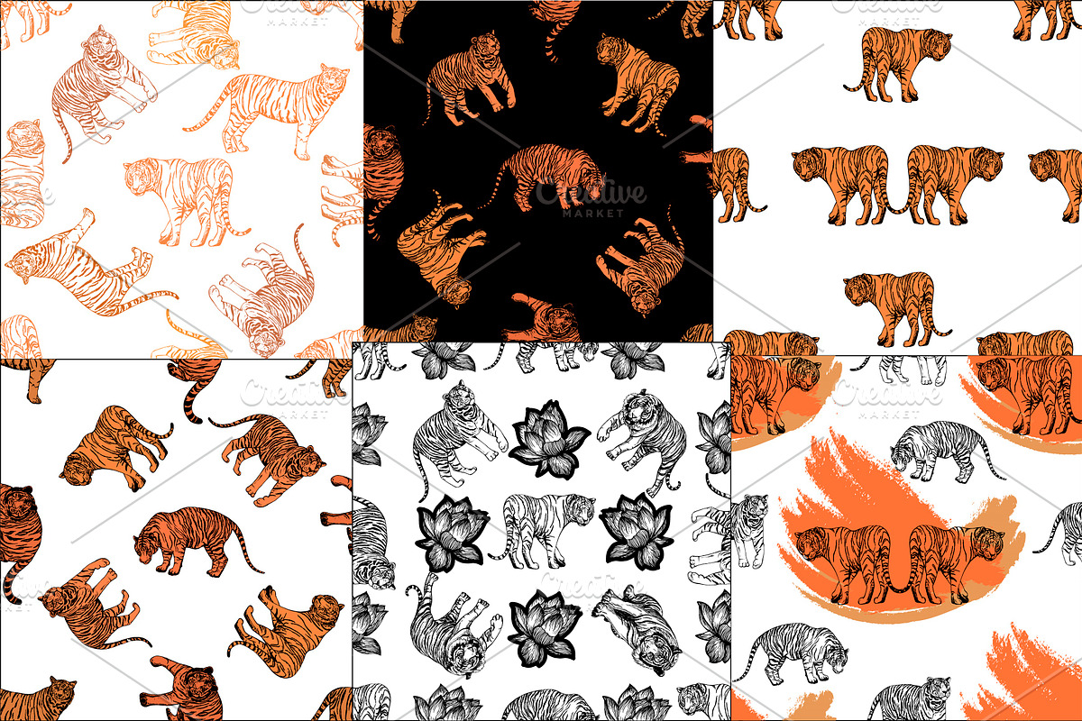 Tigers, an Animal Illustration by Ecaterina Sciuchina (Photo 5 of 5)