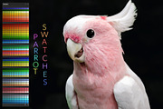 Parrot Swatches, a Palette Add-On by PandoraDreams (Thumbnail 1 of 2)