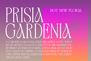 Astone Nouvea, a Sans Serif Font by Gatype (Thumbnail 9 of 9)