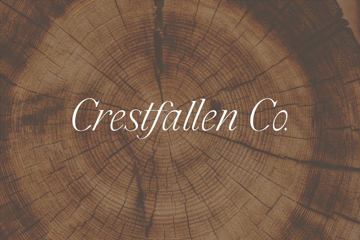 Cedar & Ink Typeface, a Serif Font by aquene (Photo 2 of 16)