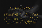 Nefaryth | Tattoo Font, a Script Font by Denustudios (Thumbnail 11 of 14)