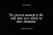 Silver Point–Elegant Editorial Serif, a Serif Font by Issam Type (Thumbnail 3 of 21)