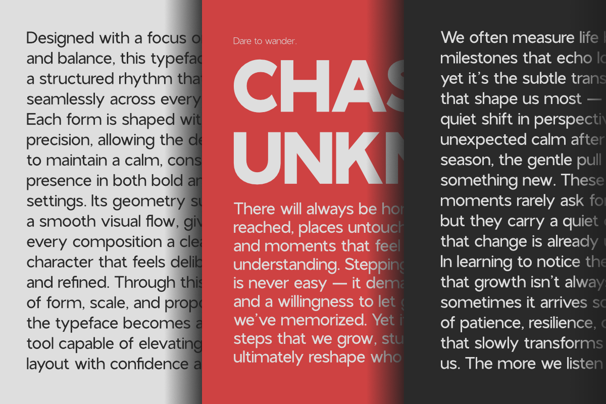 NV Bonza – Modern Sans Serif Family, a Sans Serif Font by Novaratype (Photo 9 of 15)